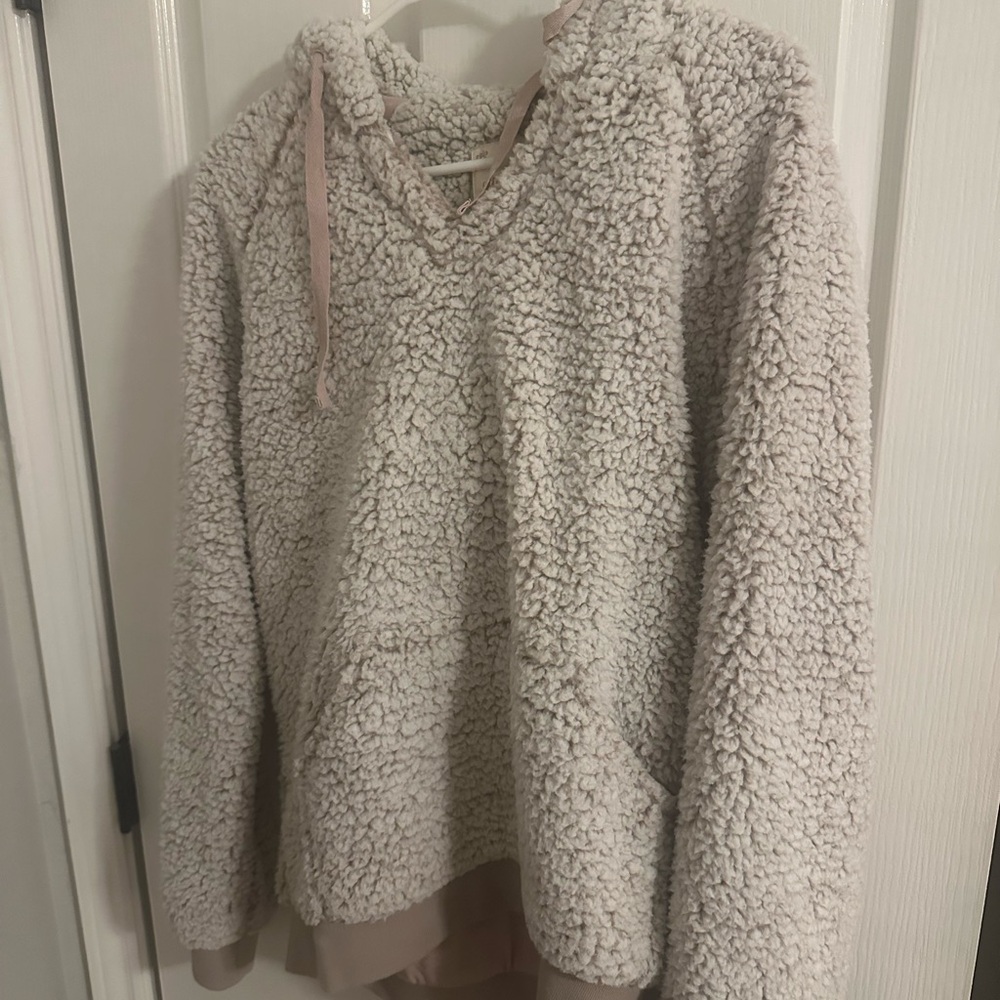 Altard State Fuzzy Hoodie